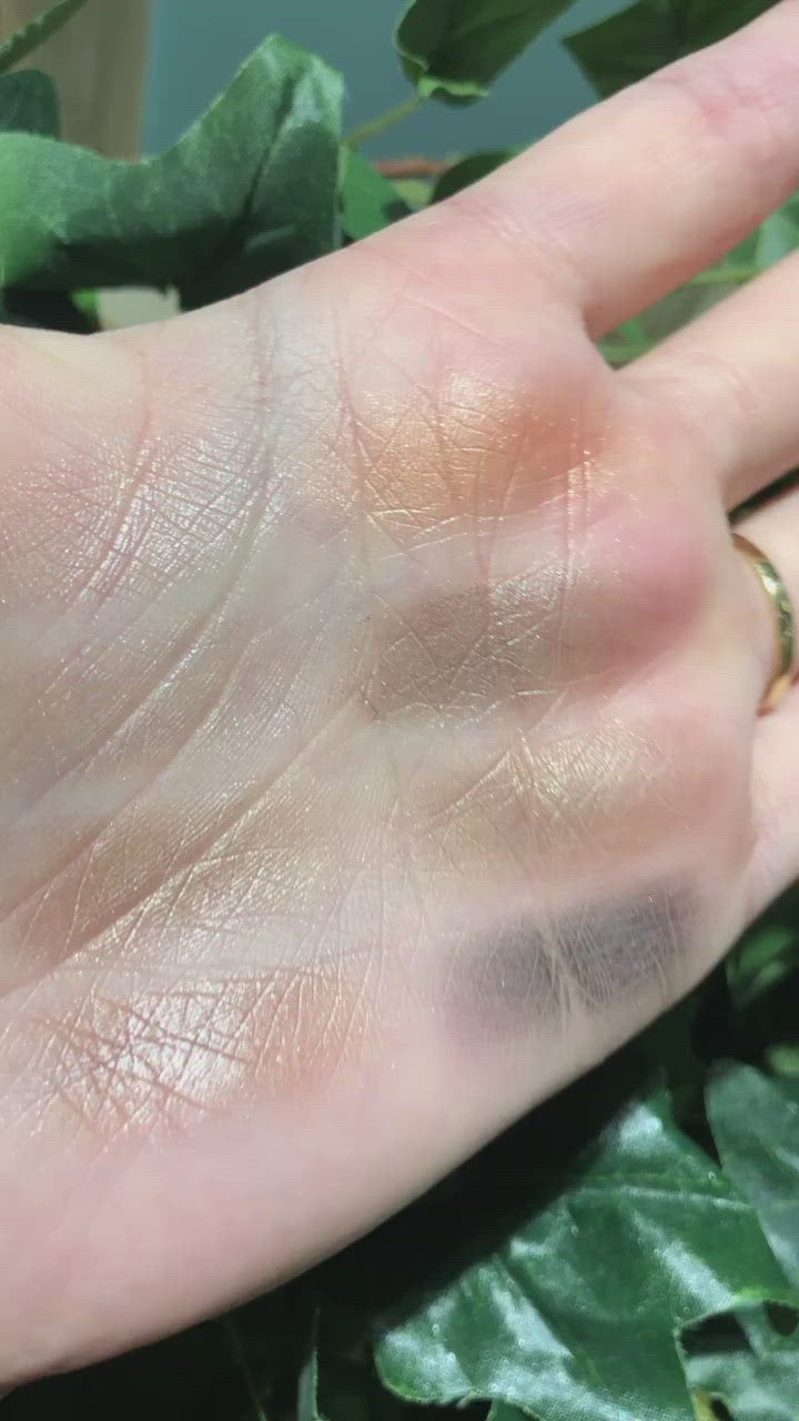Ugly Bare Palette - Lily Lolo