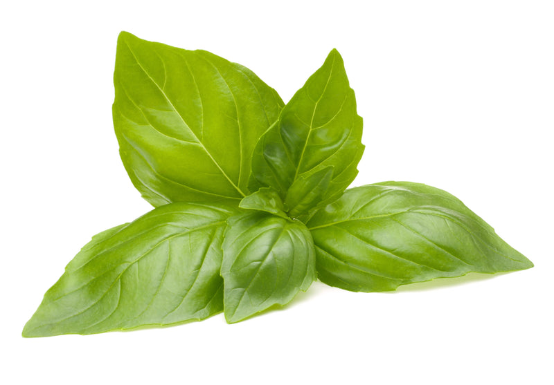 Organic Soap n°7 - With Basil