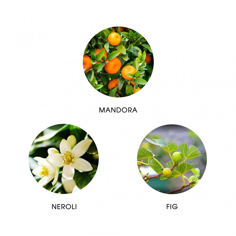 AMANTE ANDALUCIA - Eau de Parfum - Refill 11ml