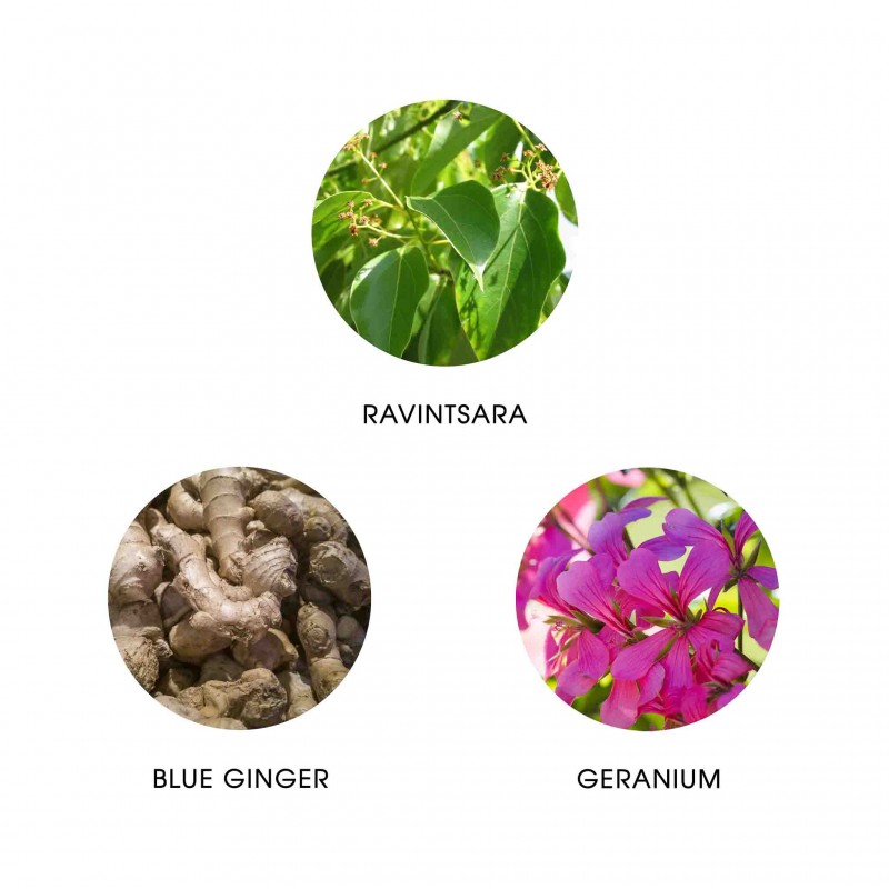 WAKA MADAGASCAR - Eau de Parfum - Refill 11ml