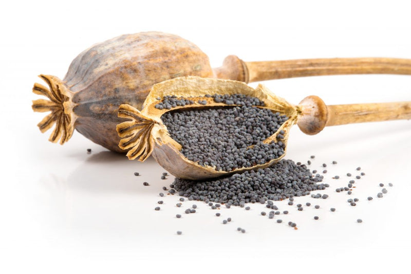 Organic Soap n°3 - With Poppy Seeds