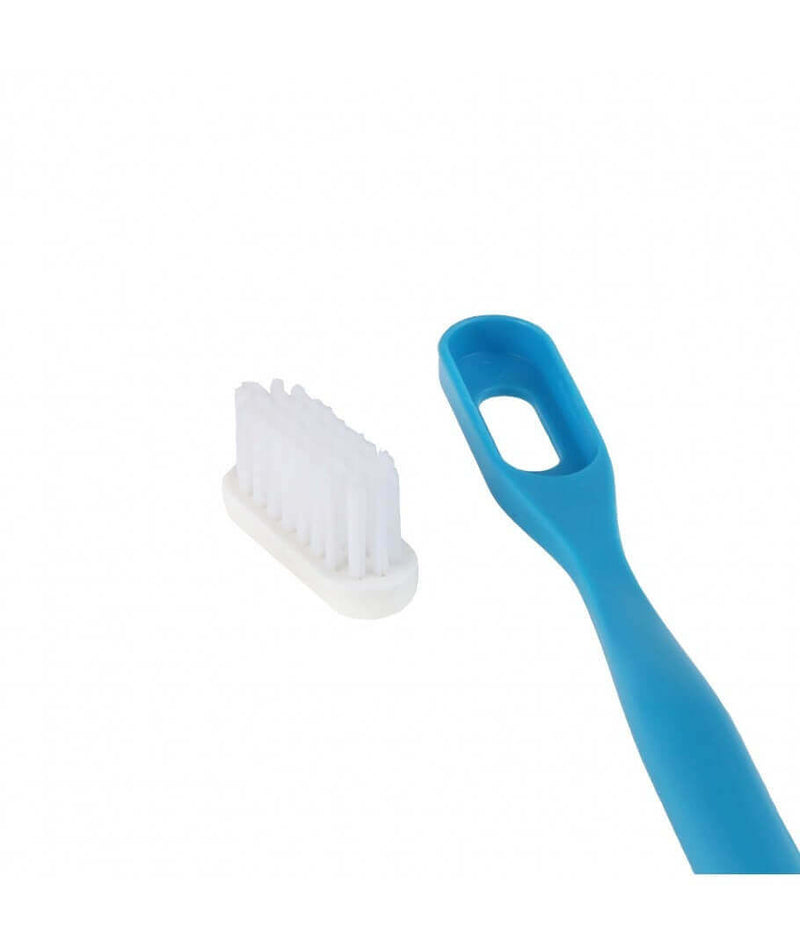 Refill 3 medium toothbrush heads